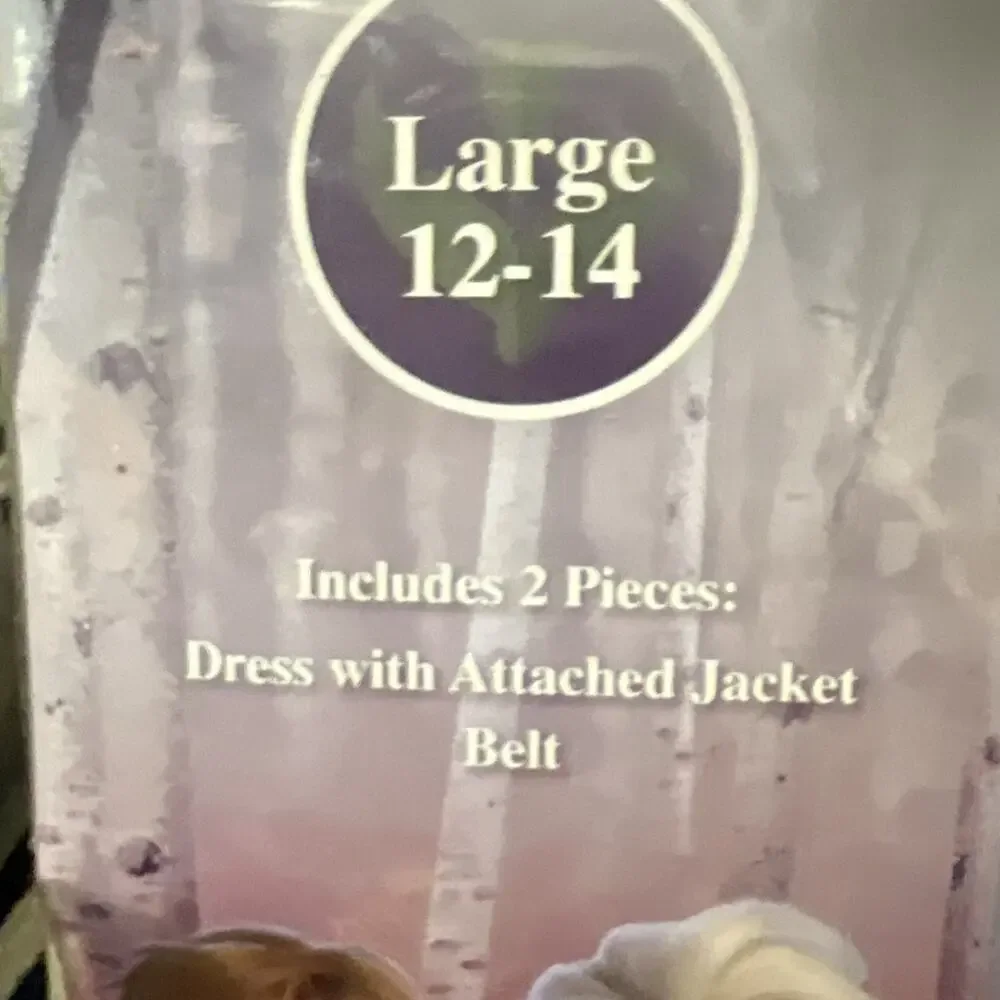 Disney Frozen II Anna Dress Halloween Costume Beige Dress Size Large 12-14